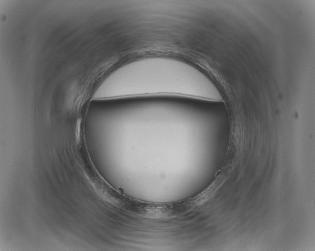 X0000085790070200703160944