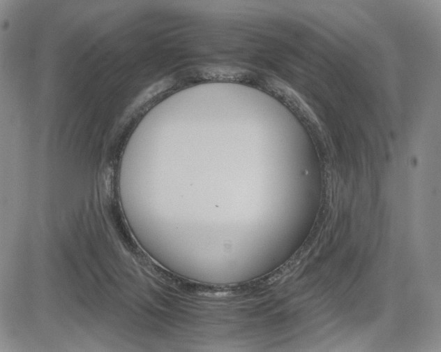X0000085790071200703160944