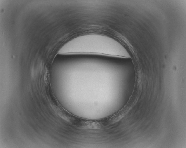 X0000085790073200703160944