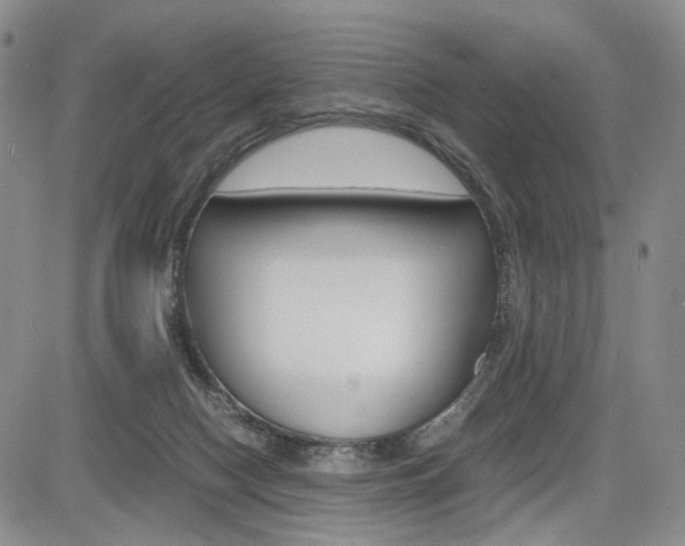 X0000085790074200703160944