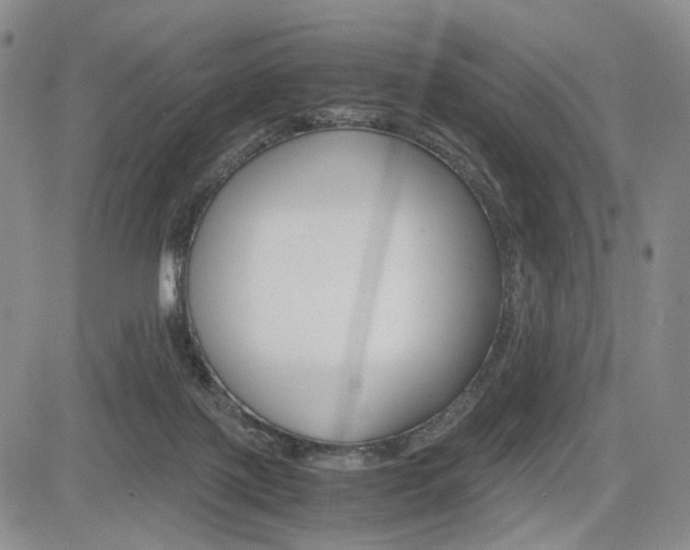 X0000085790075200703160944