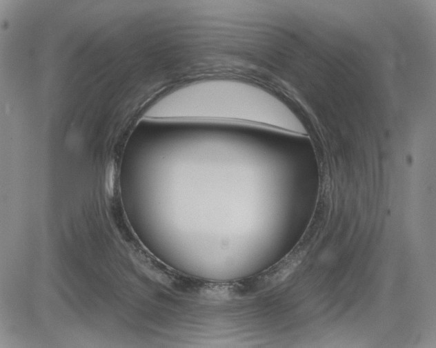 X0000085790076200703160944