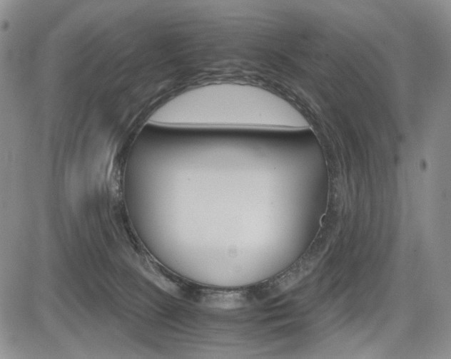 X0000085790081200703160944