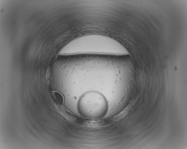 X0000085790082200703160945