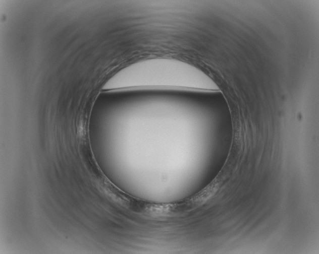 X0000085790084200703160945