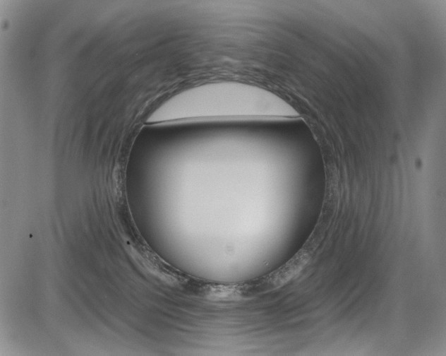 X0000085790088200703160945