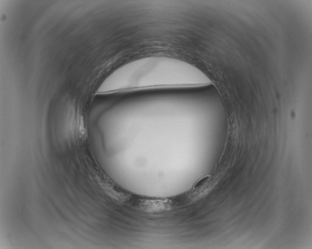 X0000085790089200703160945