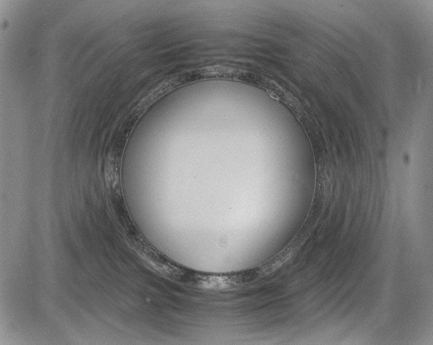 X0000085790091200703160945