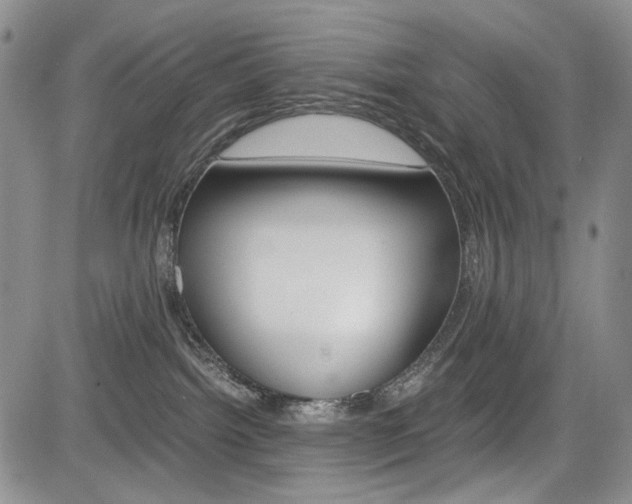 X0000085790092200703160945