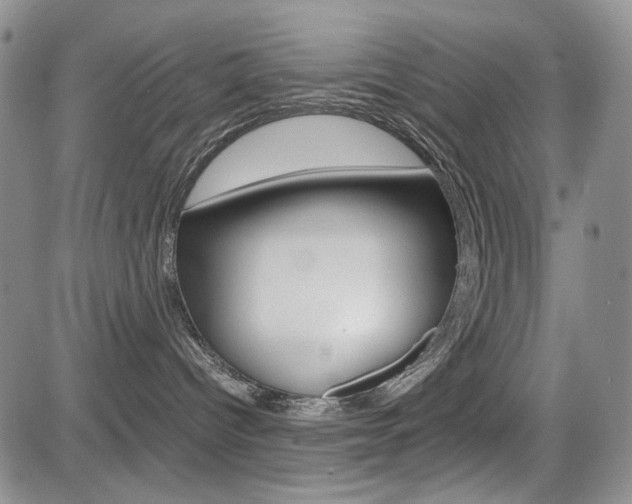 X0000085790096200703160945