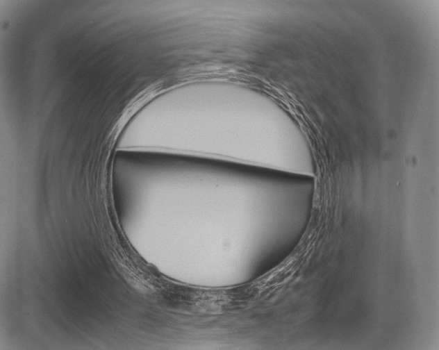 X0000085790099200703160944