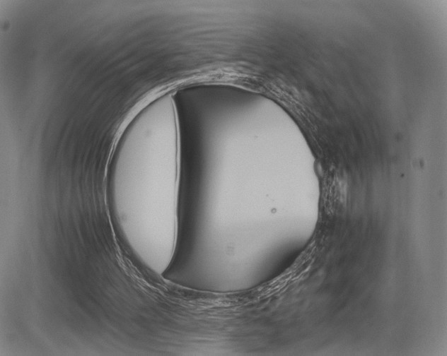 X0000085790100200703160944