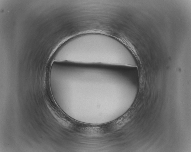 X0000085790108200703160944