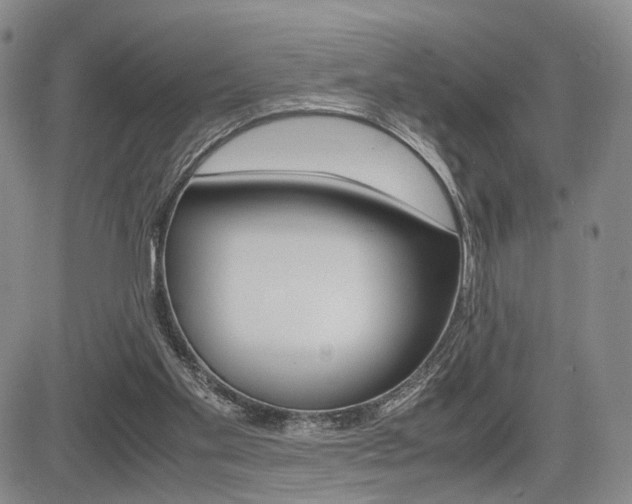 X0000085790109200703160944