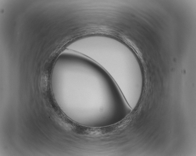 X0000085790113200703160944