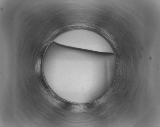 X0000085790118200703160944