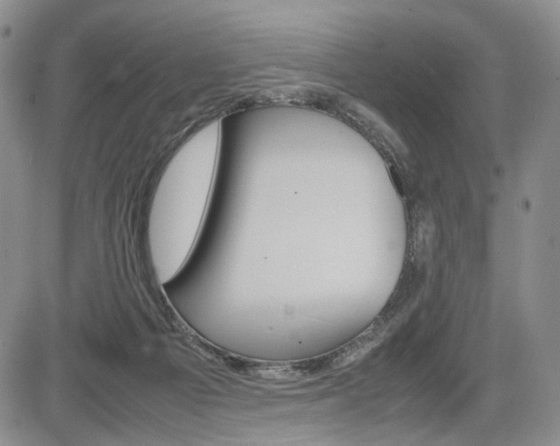 X0000085790121200703160944