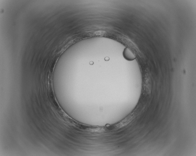 X0000085790122200703160944