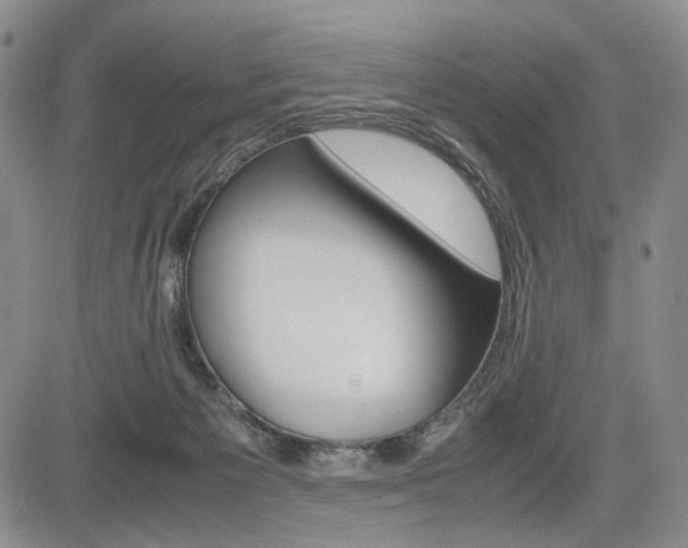 X0000085790125200703160943
