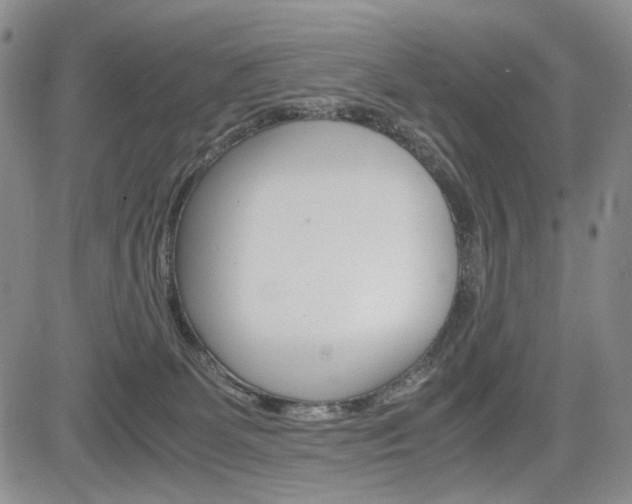 X0000085790131200703160943