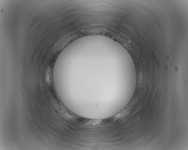 X0000085790138200703160943