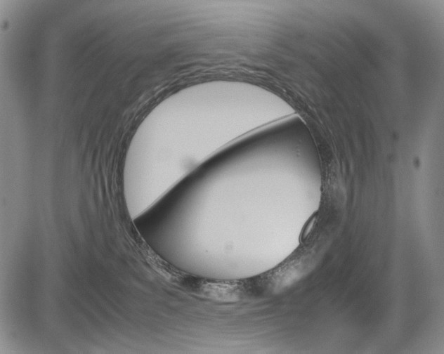X0000085790139200703160943