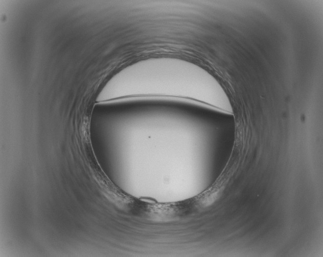 X0000085790141200703160943