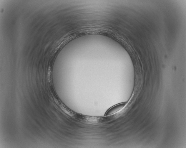 X0000085790144200703160943