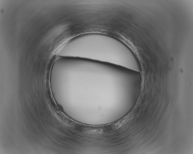 X0000085790155200703160943
