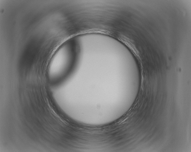 X0000085790156200703160943