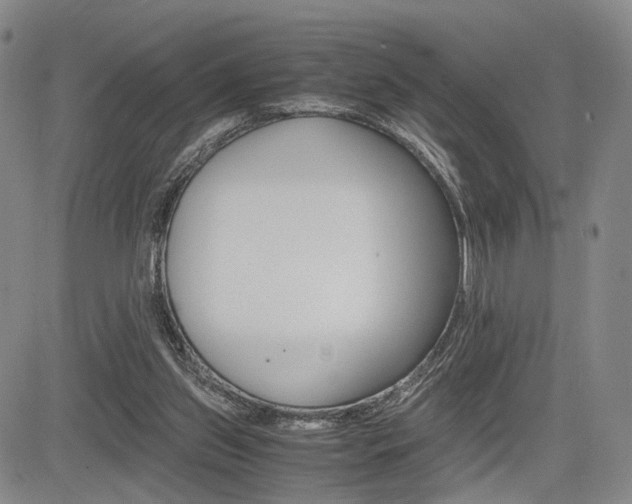 X0000085790157200703160943