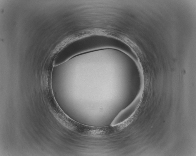 X0000085790158200703160943