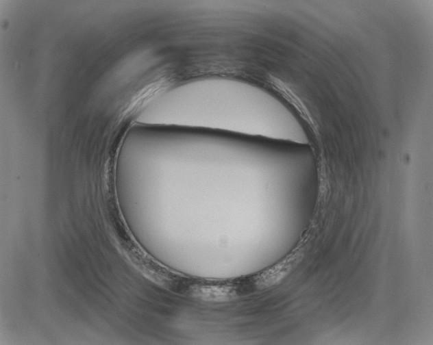 X0000085790163200703160943