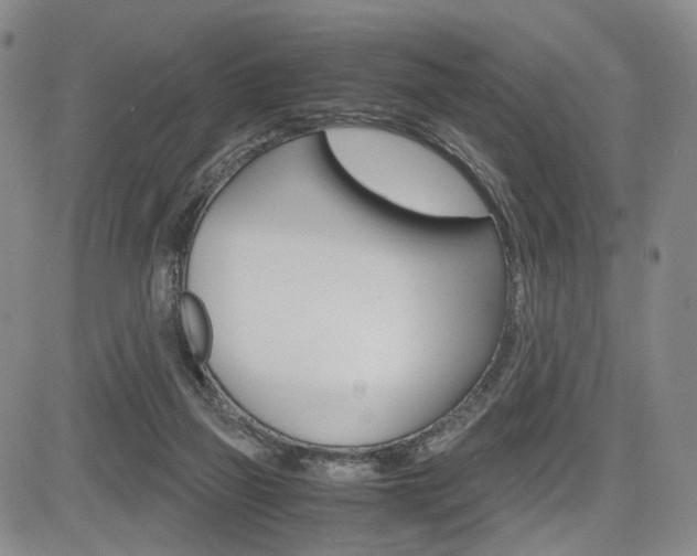 X0000085790165200703160943