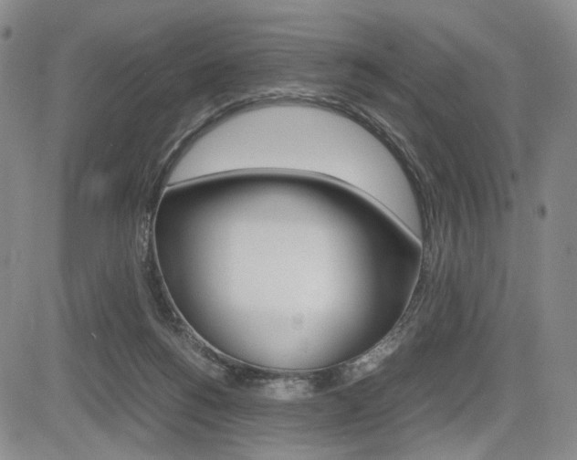 X0000085790168200703160943