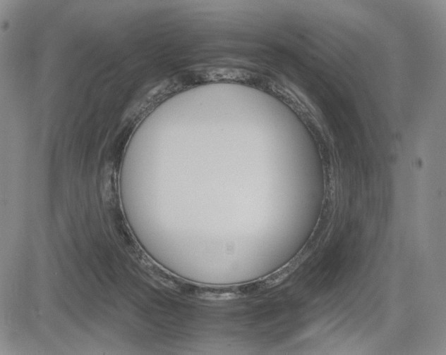 X0000085790169200703160943