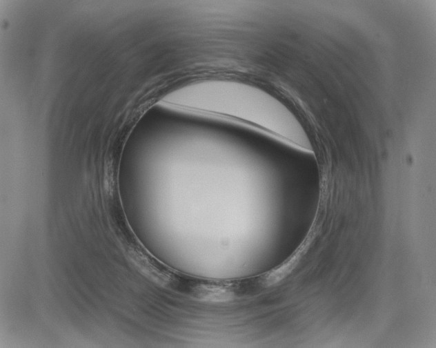 X0000085790170200703160943