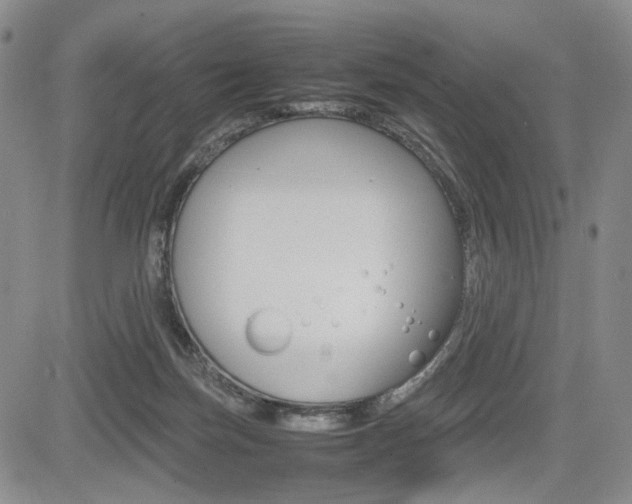 X0000085790171200703160943