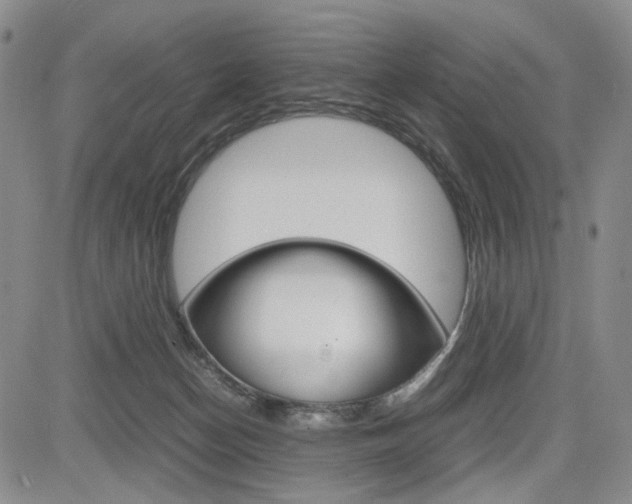 X0000085790174200703160943