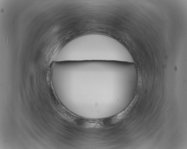 X0000085790175200703160943