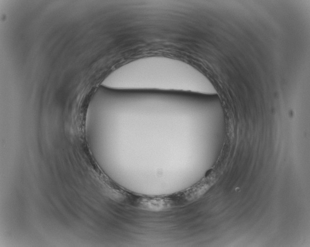 X0000085790181200703160943