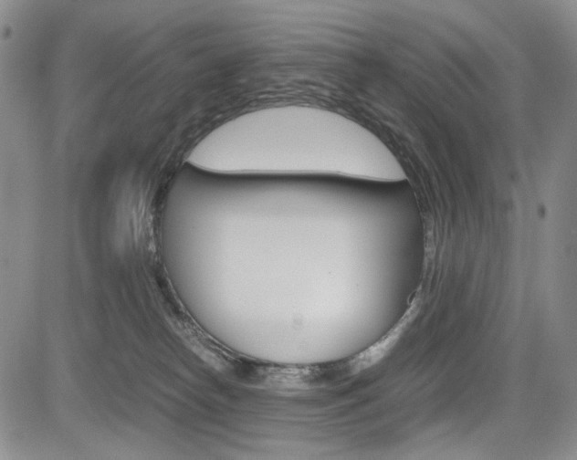 X0000085790182200703160943