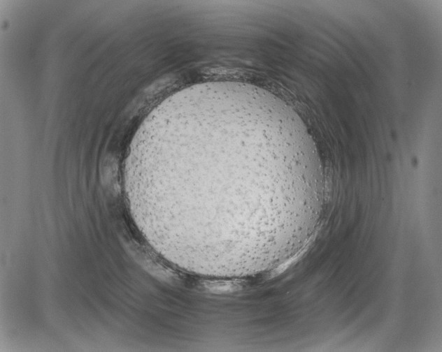 X0000085790187200703160943