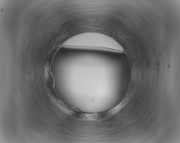 X0000085790188200703160943