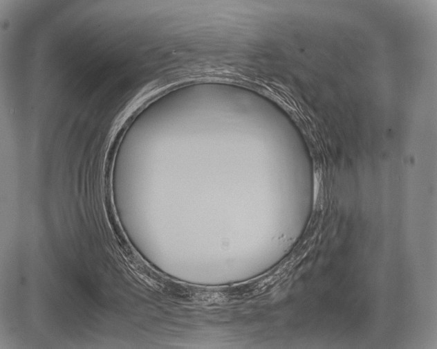 X0000085790195200703160942