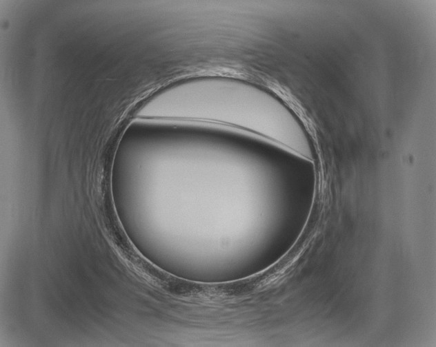 X0000085790201200703160942