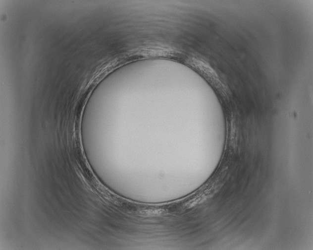 X0000085790202200703160942