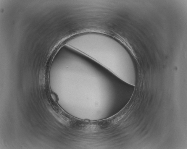 X0000085790204200703160942