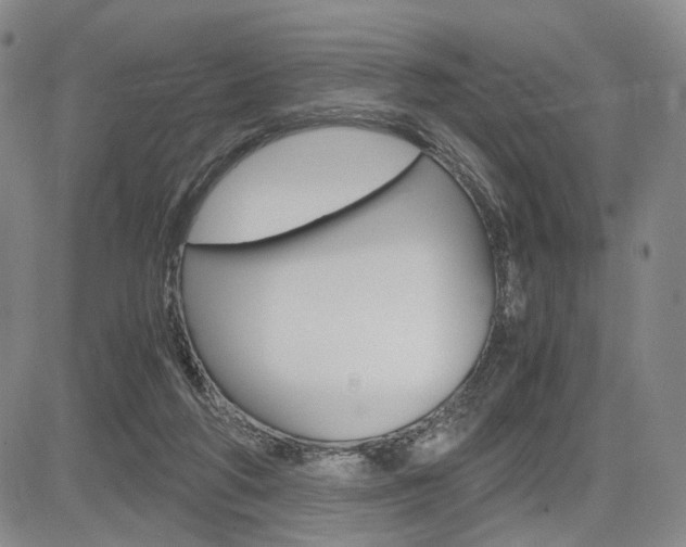 X0000085790210200703160942