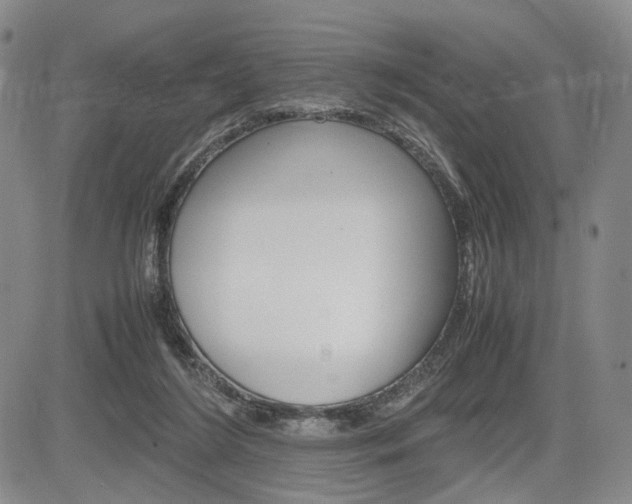 X0000085790212200703160942